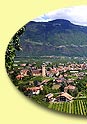 vergrössern