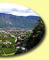 vergrössern